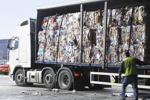 Environmental assessment during site clearance