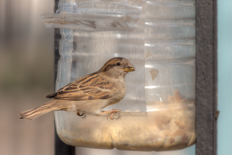 Budget-Friendly Solutions for Bulky Household Waste