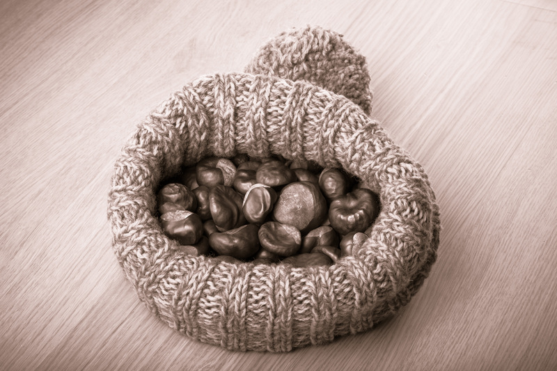 waste disposal junk removal